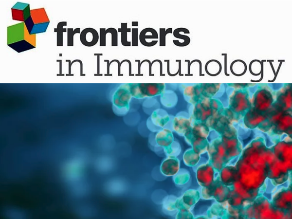 田村さんの論文がFrontiers in Immunology誌に掲載されました