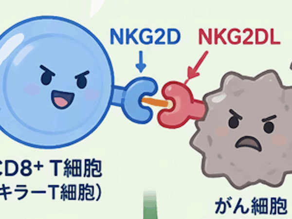 金さんらの論文がFrontiers in Immunology誌に掲載されました