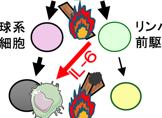 河野先生らの論文がCell Death and Disease誌に掲載されました